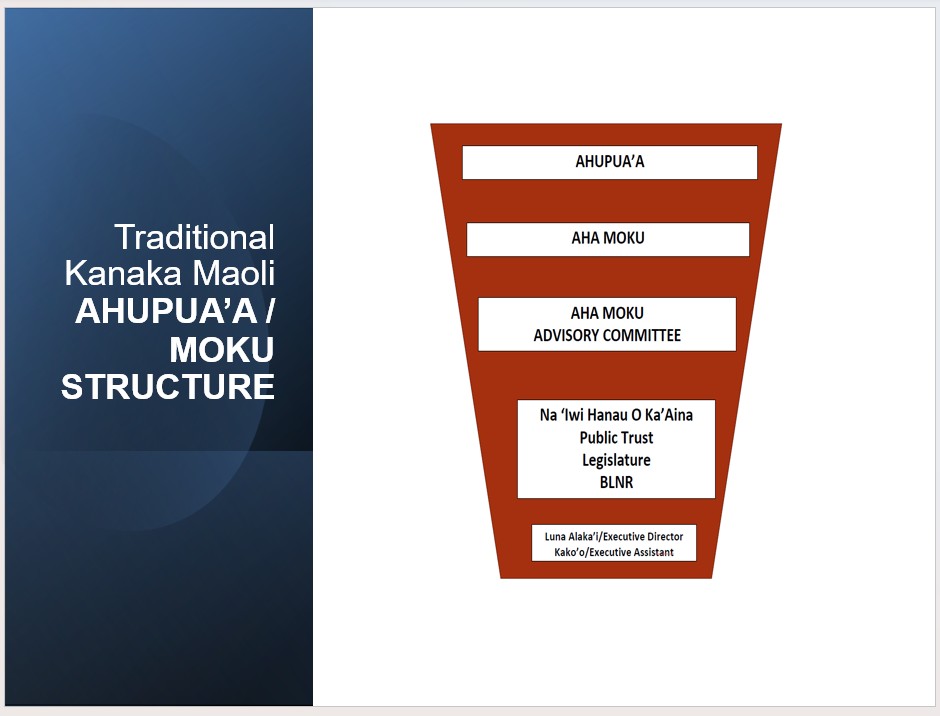 Ahupua a/Moku Structure