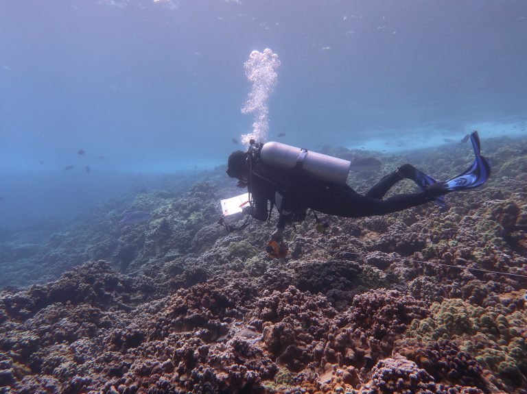 Coral Reefs | Monitoring