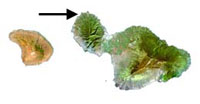 Arrow pointing to Honolua-Mokule'ia Bay on the north side of Maui