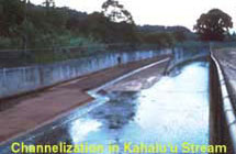 Channelization in kahaluu stream