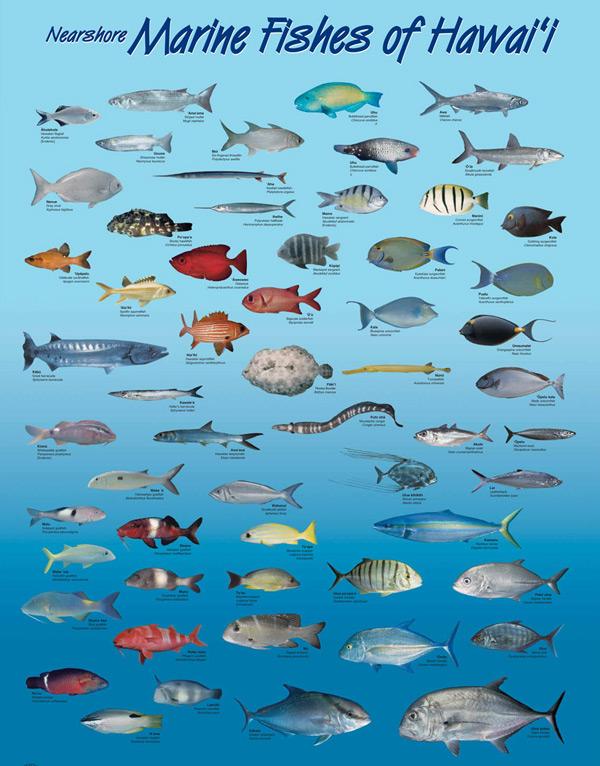 Division of Aquatic Resources | Education