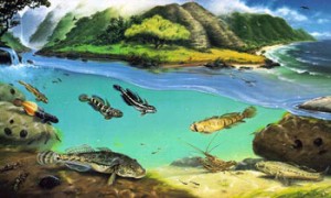 Division of Aquatic Resources | Hawaiian Streams