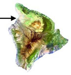 Arrow pointing to Waialea Bay on the north side of Hawaii island