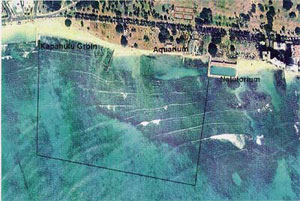 Aerial view of Waikiki shoreline