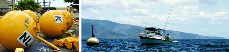 fish aggregating devices and fad fishing