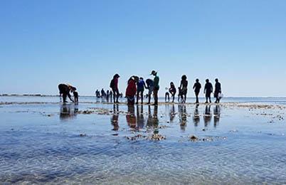 reef walk