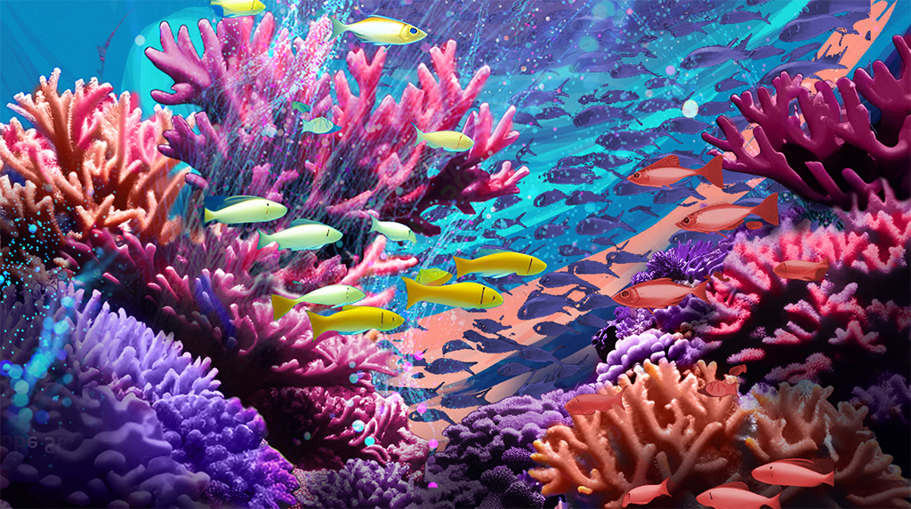 Division of Aquatic Resources | Hawai‘i’s Coral Reefs