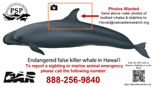 false killer whale reporting request