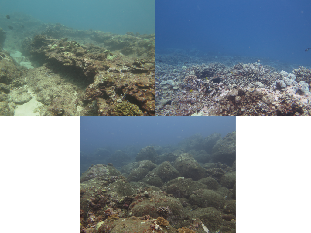 Different types of reef habitats observed in East Hawaiʻi