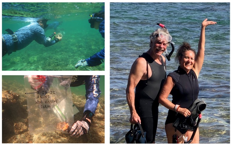 Image collage of divers collecting non-native corals and of two people smiling and waving.