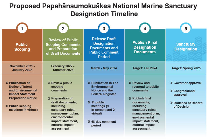 sanctuary designation timeline revised