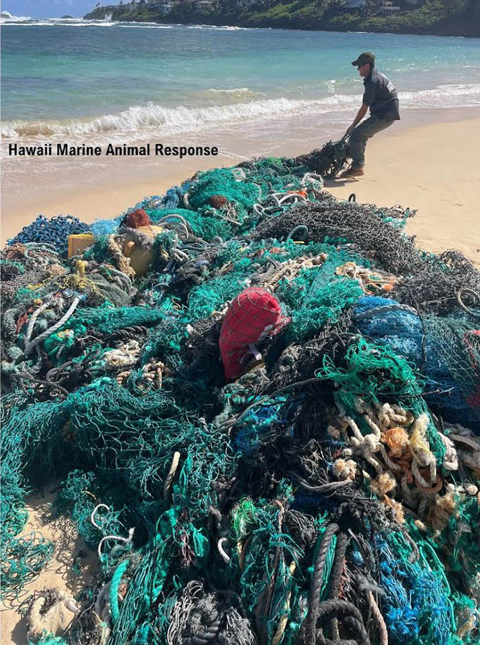 pile of marine debris on shoreline