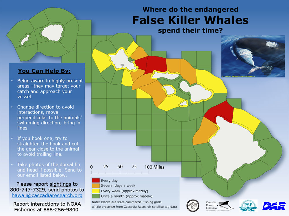 map of false killer whale locations