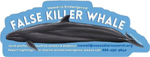 false killer whale sticker