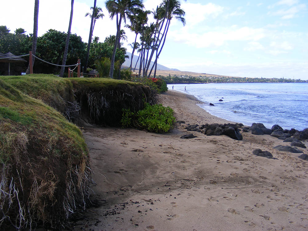 erosion at Hyatt