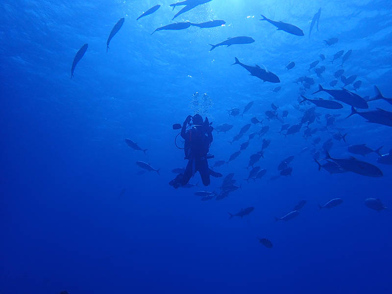 Jake surrounded by fish