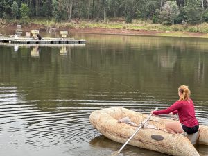 Trout being transported to their grow-out pens.