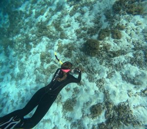 Lizzy Monaghan collecting Chondria tumulosa in the field