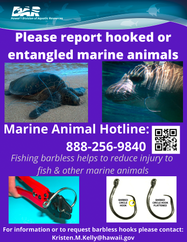 Division of Boating and Ocean Recreation  Reporting Hooked or Entangled  Marine Animals