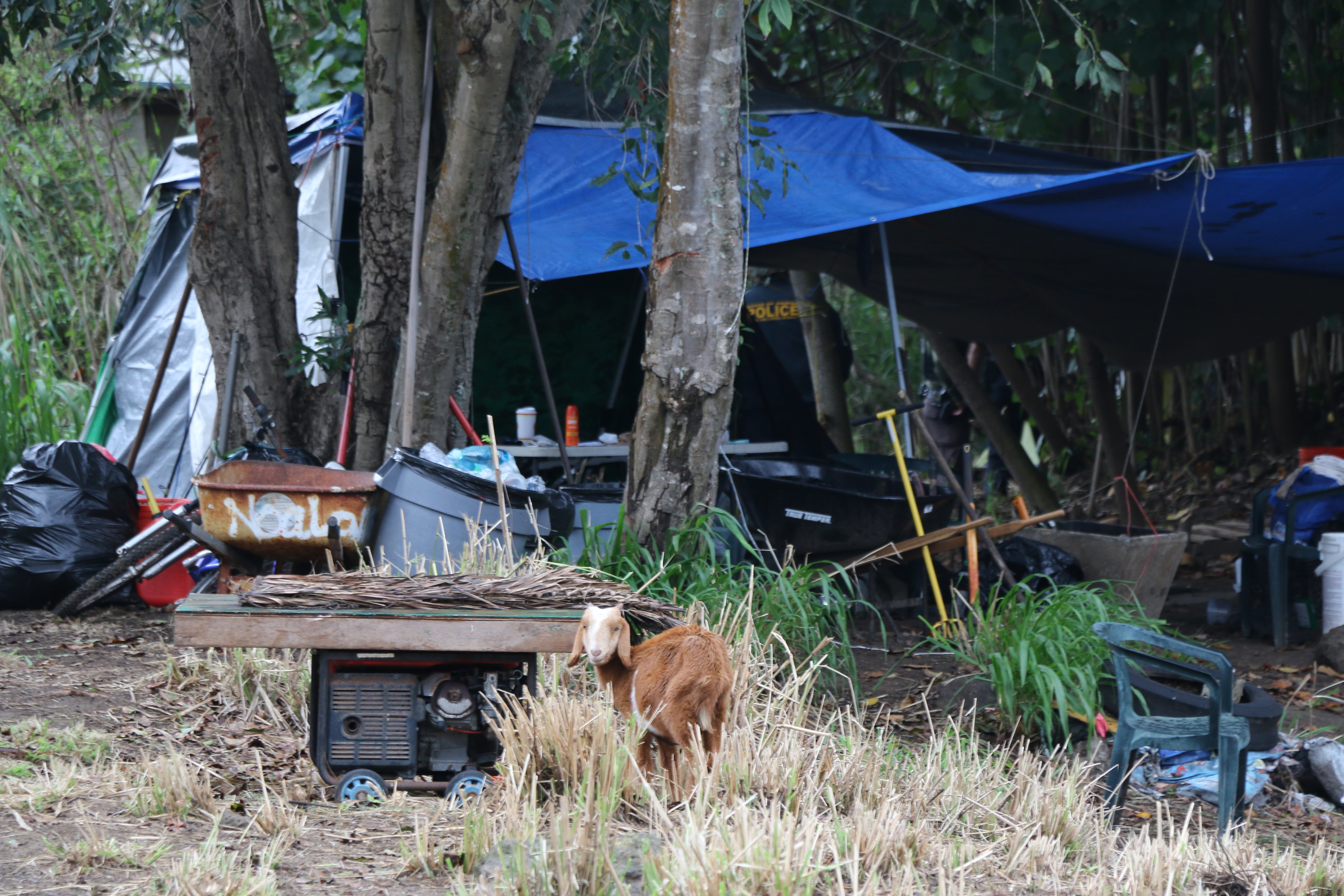 Division of Conservation and Resources Enforcement Joint Law