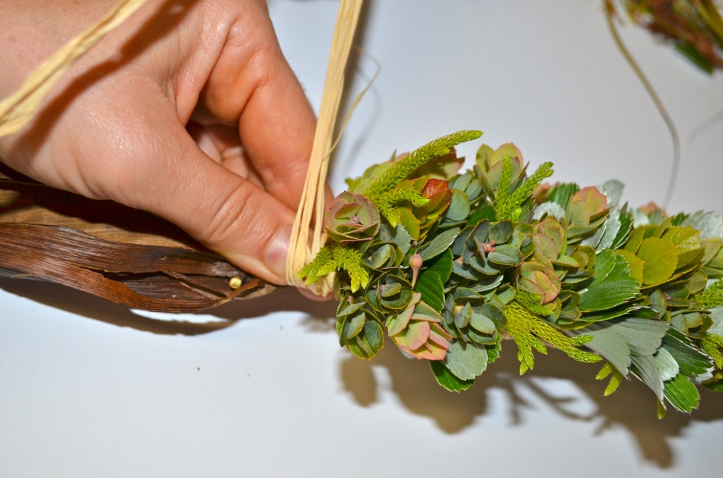 Division of Forestry and Wildlife 2015 Kauluwehi Lei Contest