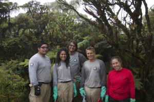 NCCC at Ka'ala Natural Area Reserve with Division of Forestry and Wildlife