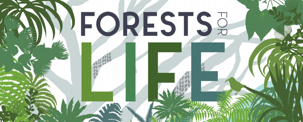 An graphic of a Hawaiian forest with a logo reading Forests for Life