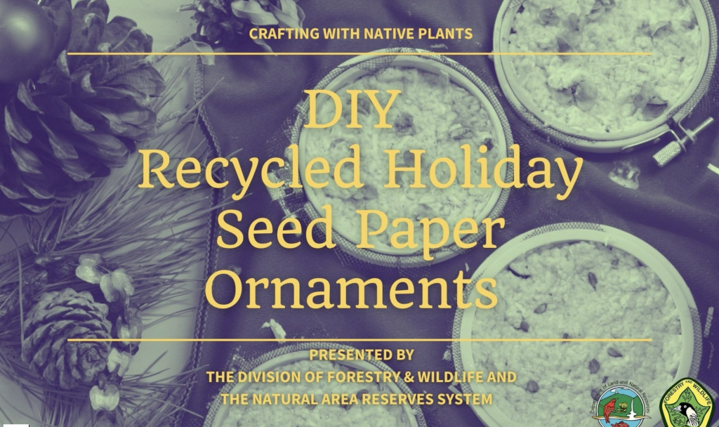 Video Thumbnail for Holiday Seed Paper Ornaments