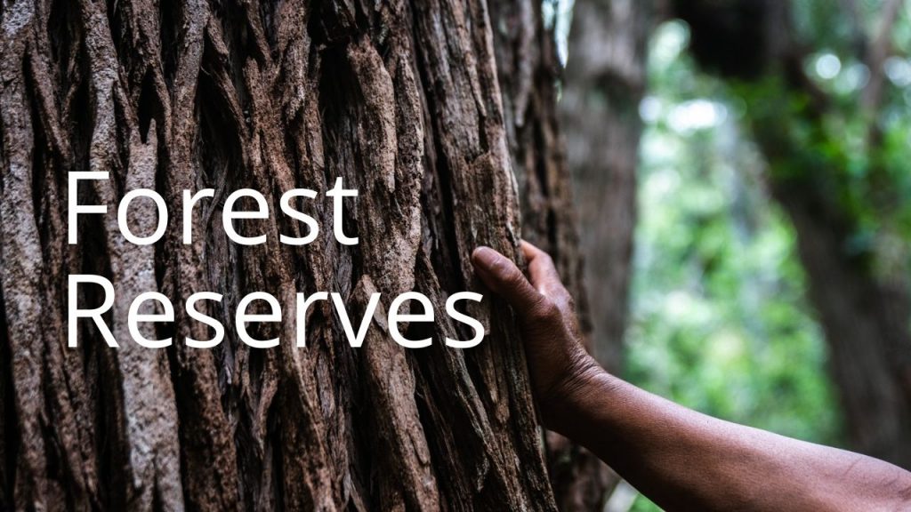 An image of a hand on a tree linking to a page about Forest Reserves