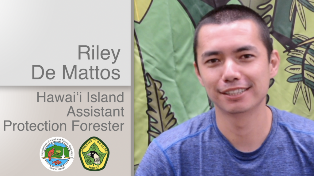 A thumbnail of the video Riley De Mattos Hawaiʻi Island Assistant Protection Forester