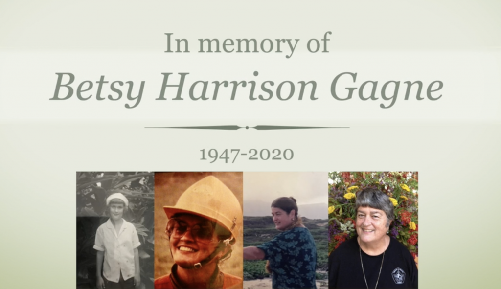 A thumbnail for the video In Memory of Betsy Harrison Gagne