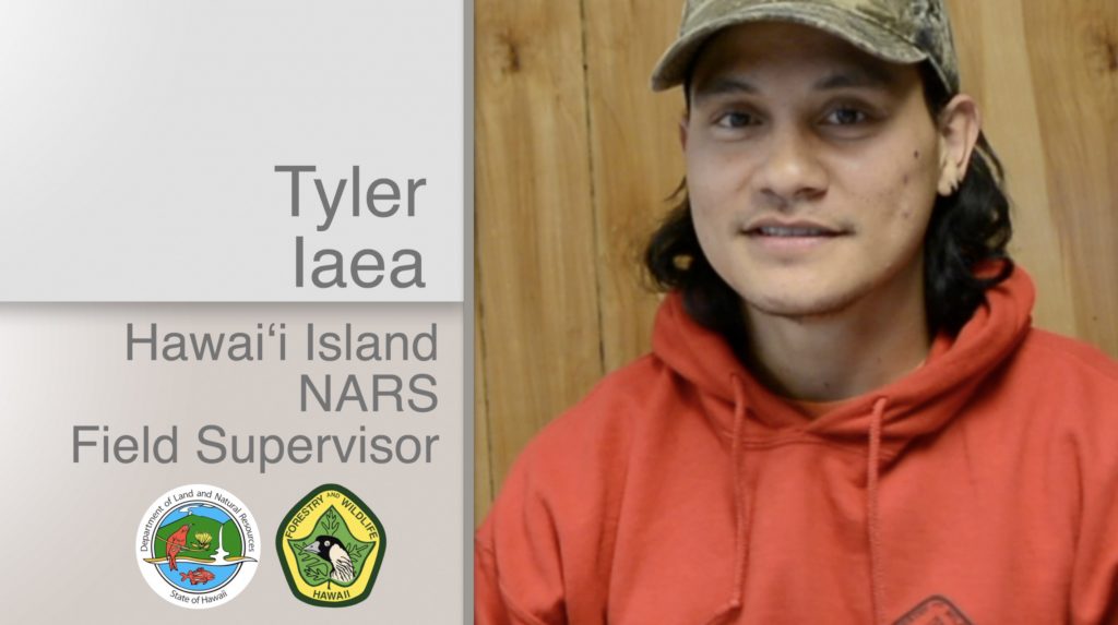 A thumbnail linking to a video on Tyler Iaea Hawaiʻi Island NARS Field Supervisor