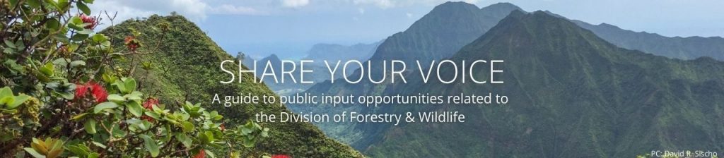 A photo of mountains with the words Share your voice- a guide to public input opportunities related to the Division of Forestry & Wildlife
