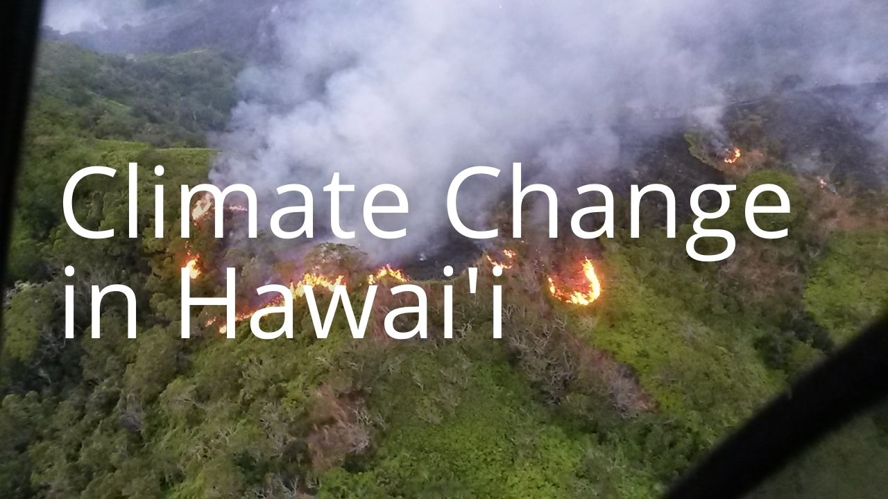 An image of a forest fire in Hawaiʻi