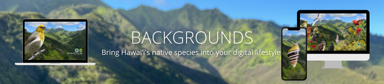 Native species backgrounds banner