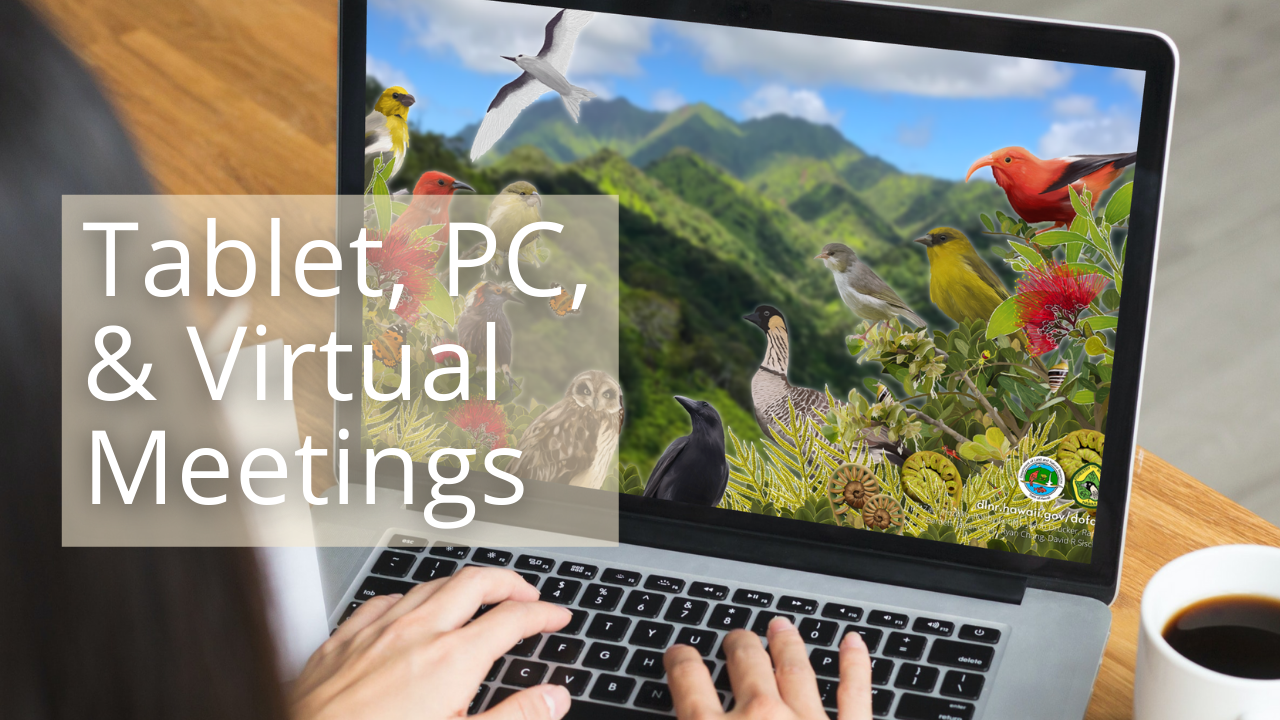 Tablet, computer, and virtual meeting backgrounds
