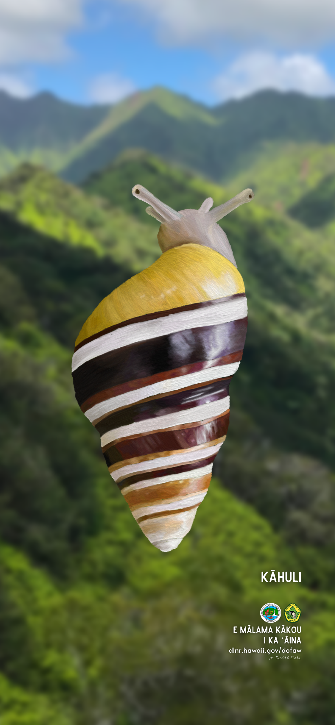 Kāhuli tree snail wallpaper