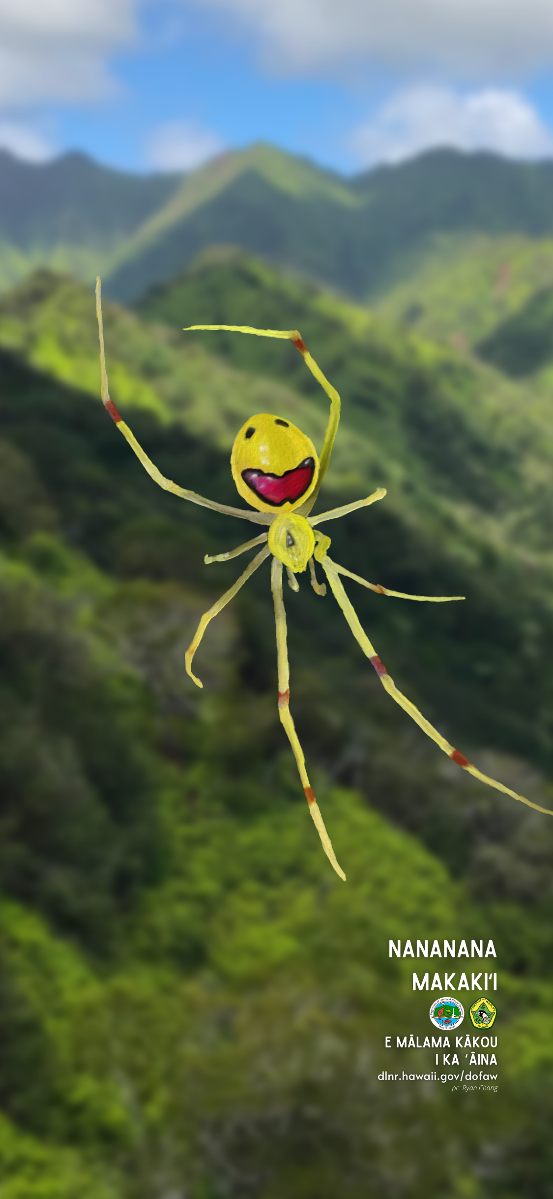 Nananana Makakiʻi Happy Faced Spider wallpaper