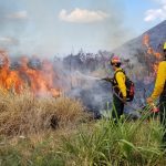 Forestry Program: Many of our staff are wildland firefighters