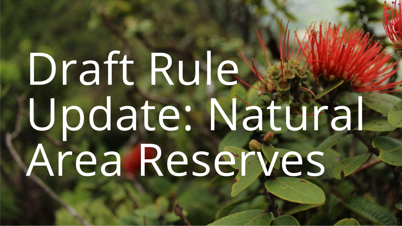 An image of an ʻōhiʻa linking to the page describing a proposed update to Natural Area Reserve rules