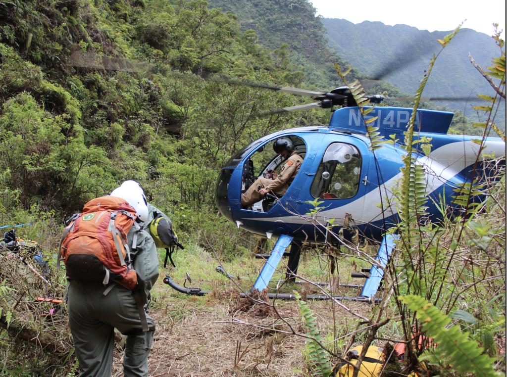 Native Ecosystems Program: Staff often work in remote areas only accessible by helicopter