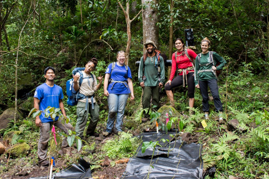 Staff from various programs work with Kupu members to outplant native species