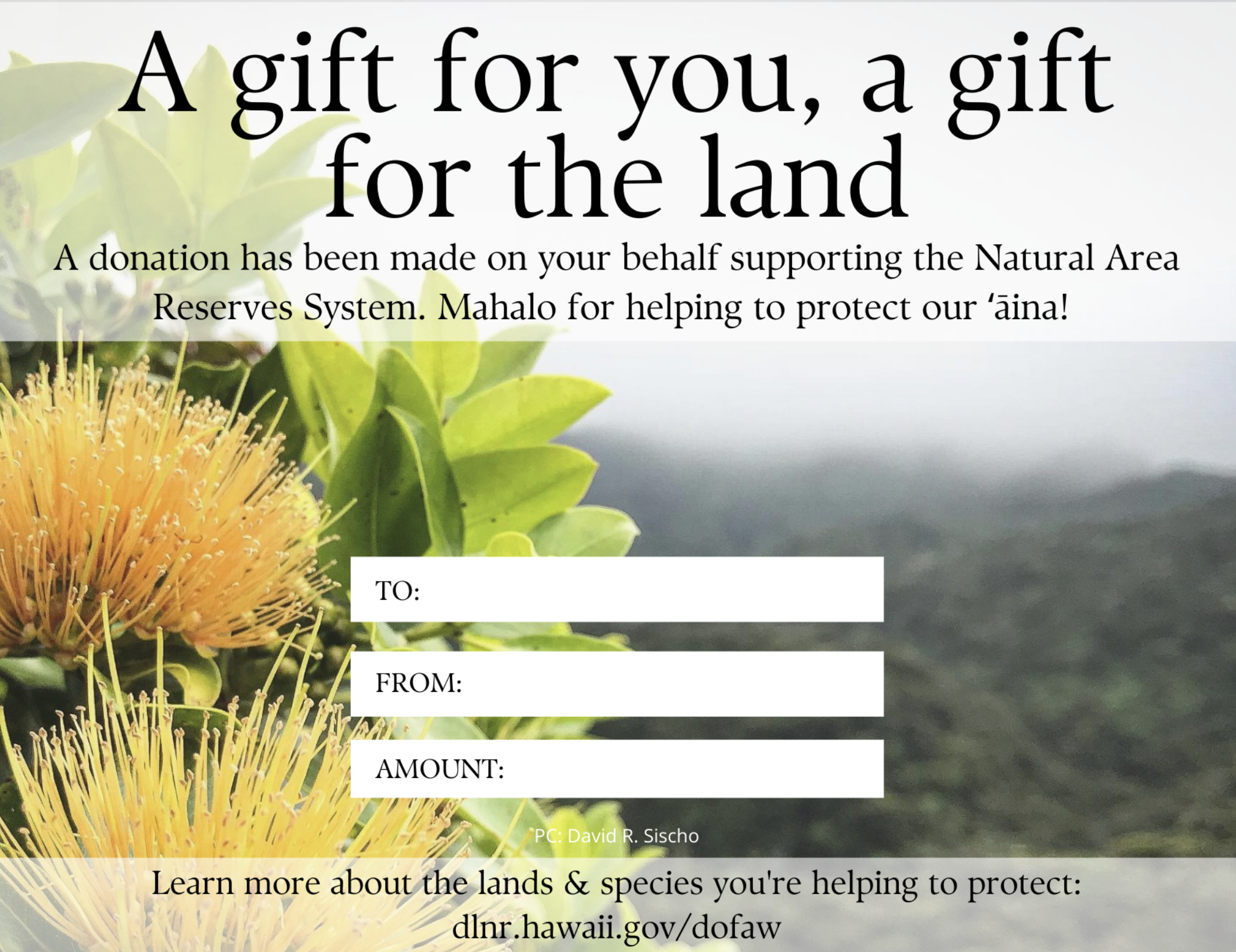 An image of a donation gift card featuring lehua mamo
