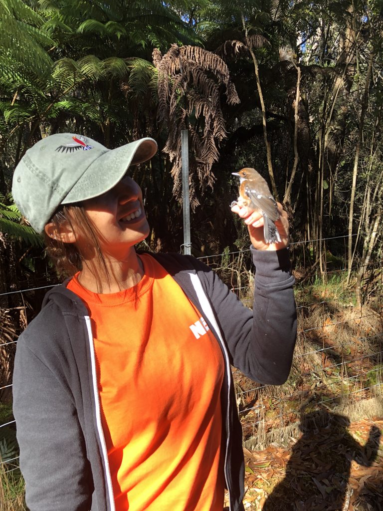 Wildlife Program: Forest bird surveys on Hawaiʻi Island
