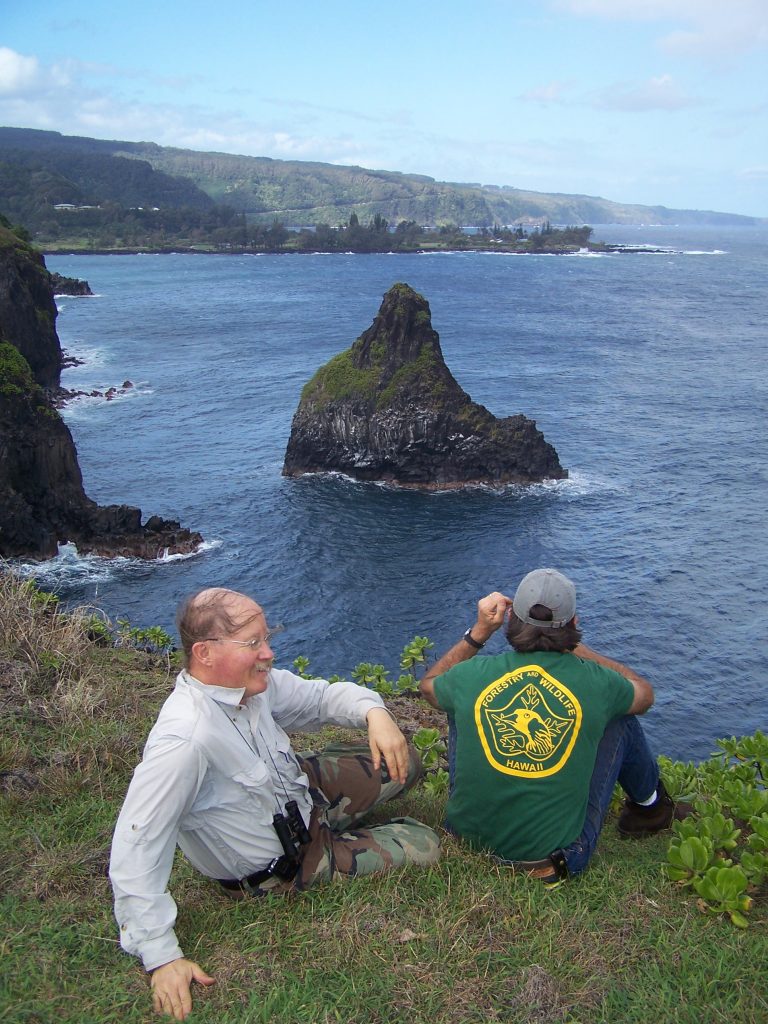 Wildlife Program: Seabird surveys on Maui