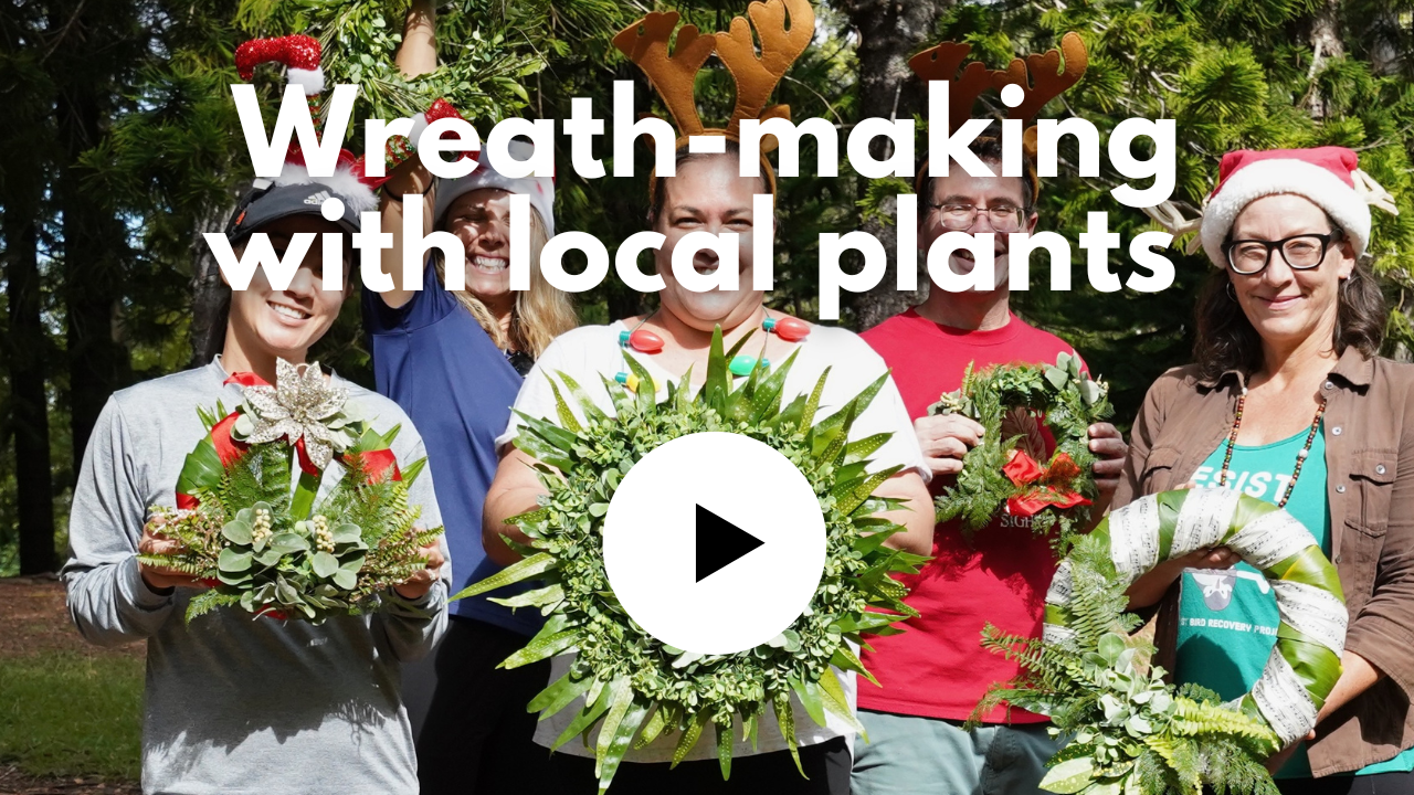 A video thumbnail for making wreaths with local plants