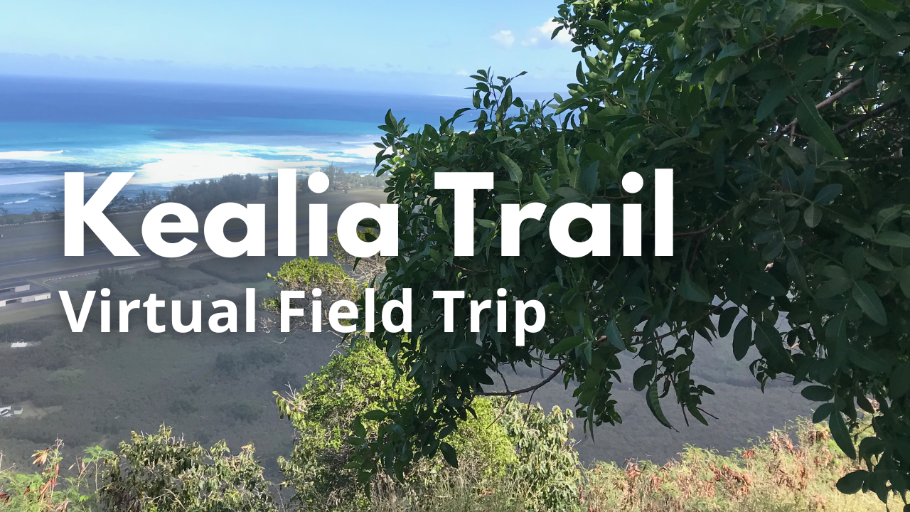 Kealia Trail Virtual Field