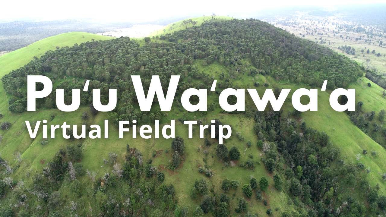 Puu Waawaa Virtual Field Trip