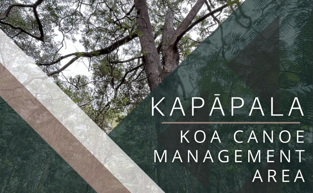 Kapāpala Koa Canoe Management Area thumbnail