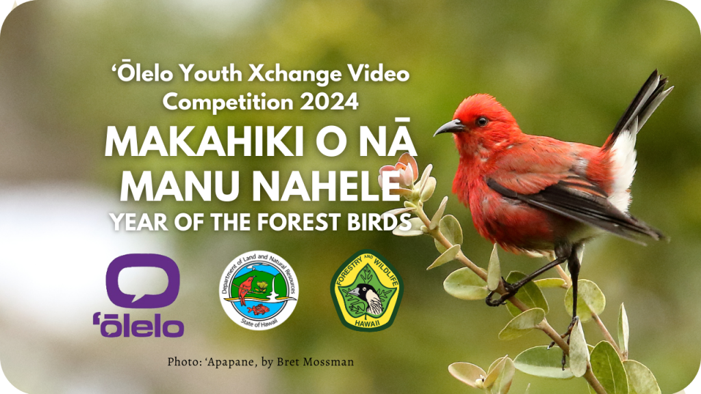 ʻŌlelo Youth Xchange 2024 Makahiki o Nā Manu Nahele Year of the Forest Birds